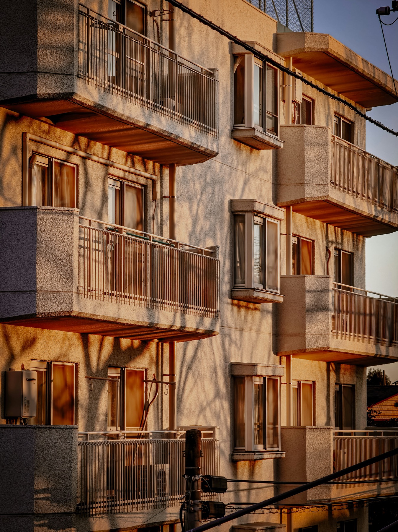 「その後」を支える幅広い知見