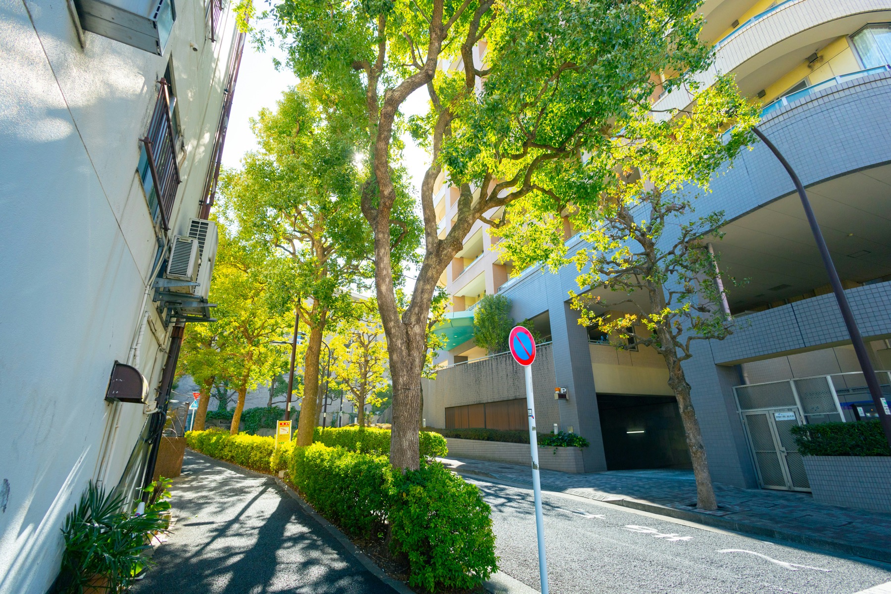 次にやることを決める